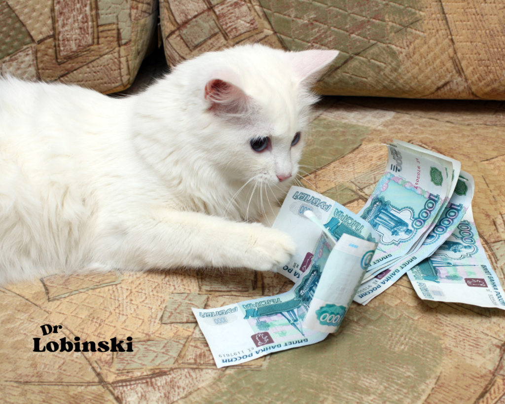 gato-con-dinero.alt