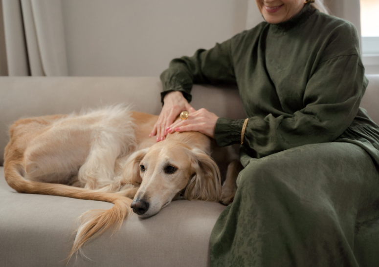perrito-con-su-dueña-sentado-en-el-sofa.alt