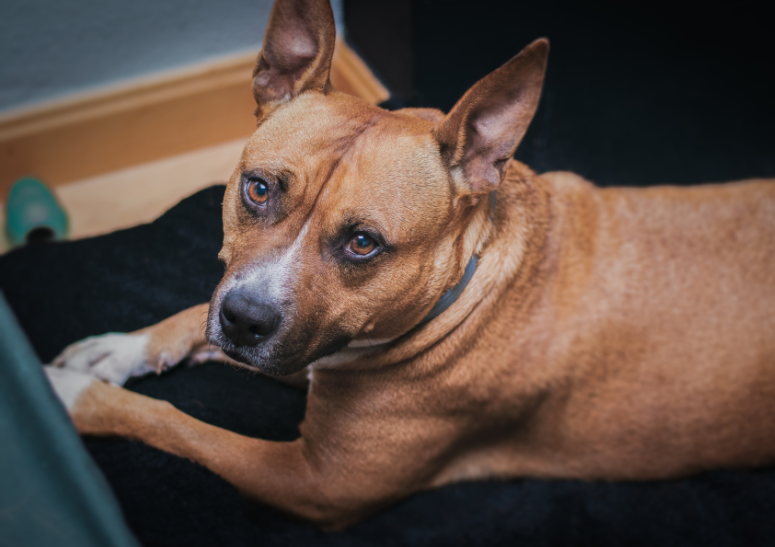 horarios-flexibles.alt