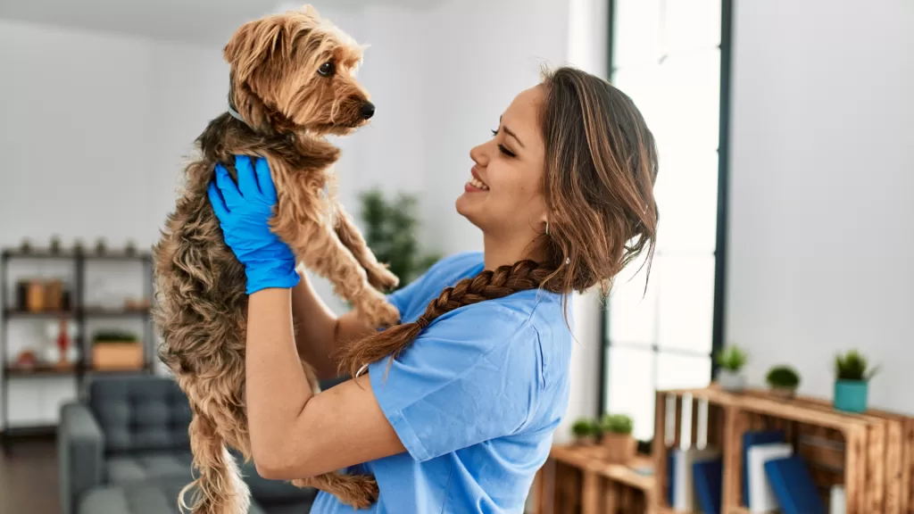 Los-mejores-Hospitales-Veterinarios-en-CDMX.alt